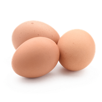 Free Range Eggs